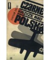 Czarne krzyże nad Polską