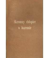 Skromny chłopiec w haremie
