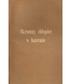 Skromny chłopiec w haremie