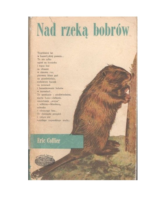 Nad rzeką bobrów
