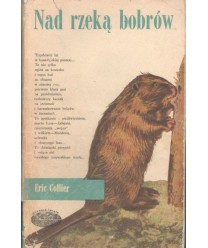 Nad rzeką bobrów