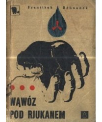 Wąwóz pod Rjukanem