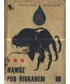 Wąwóz pod Rjukanem