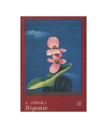 Begonie
