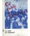 Co robić po kubizmie? Studia o sztuce europejskiej pierwszej połowy XX wieku