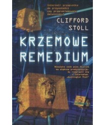 Krzemowe remedium. Garść rozważań na temat infostrady