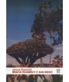 Bracia syjamscy z San Diego