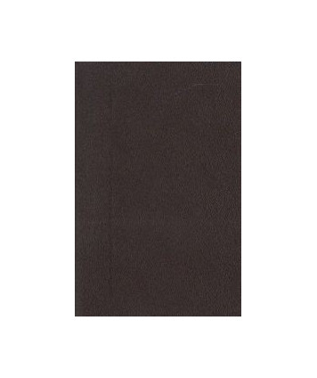 Bożij płan spasenie