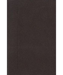 Bożij płan spasenie