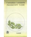 Przejrzysty Tamir