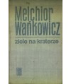 Ziele na kraterze