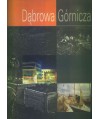 Dąbrowa Górnicza. Dzieje miasta