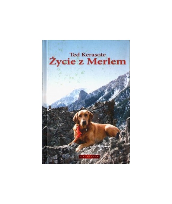 Życie z Merlem