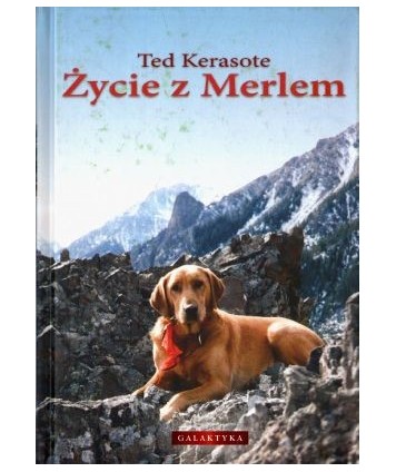 Życie z Merlem