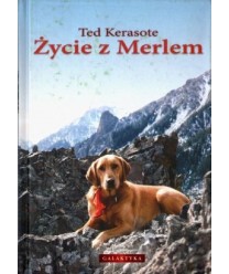 Życie z Merlem