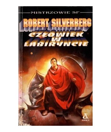 Człowiek w labiryncie