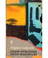 Zanim wybuchnie znów Wezuwiusz