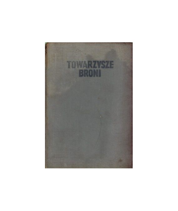 Towarzysze broni