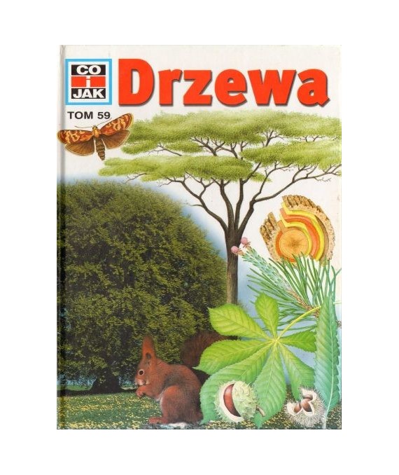 Drzewa