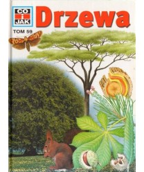 Drzewa
