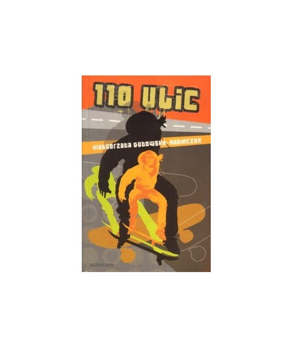 110 ulic