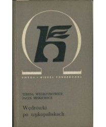 Wędrówki po wykopaliskach