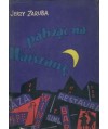 Patrząc na Warszawę