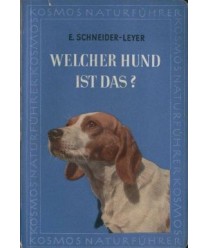 Welcher Hund ist das?