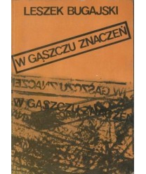 W gąszczu znaczeń