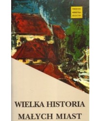 Wielka historia małych miast