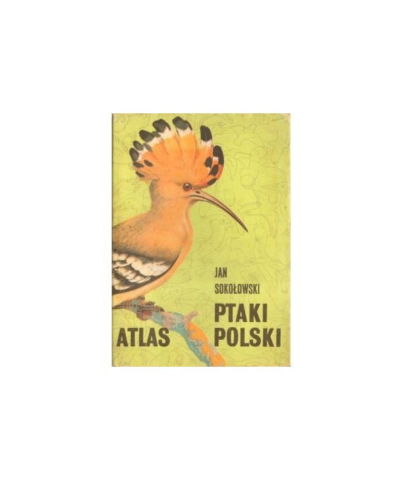 Ptaki Polski