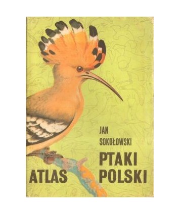 Ptaki Polski