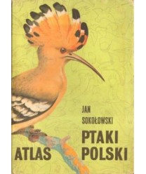 Ptaki Polski