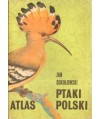 Ptaki Polski
