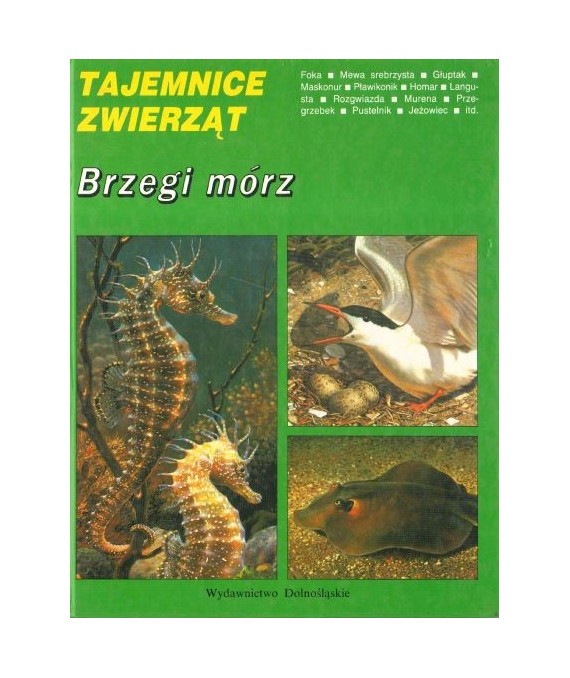 Brzegi mórz