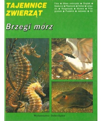 Brzegi mórz