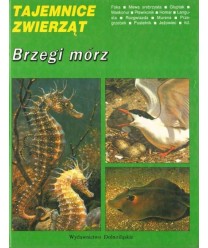 Brzegi mórz