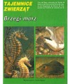 Brzegi mórz