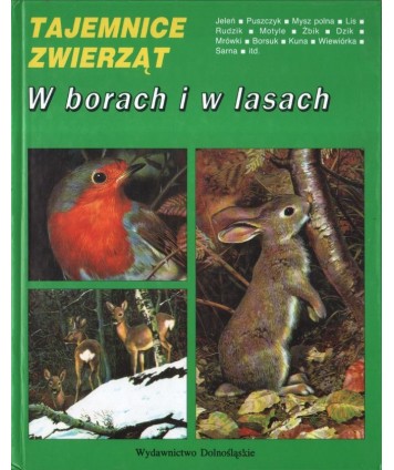 W borach i w lasach