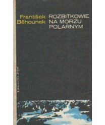 Rozbitkowie na morzu polarnym