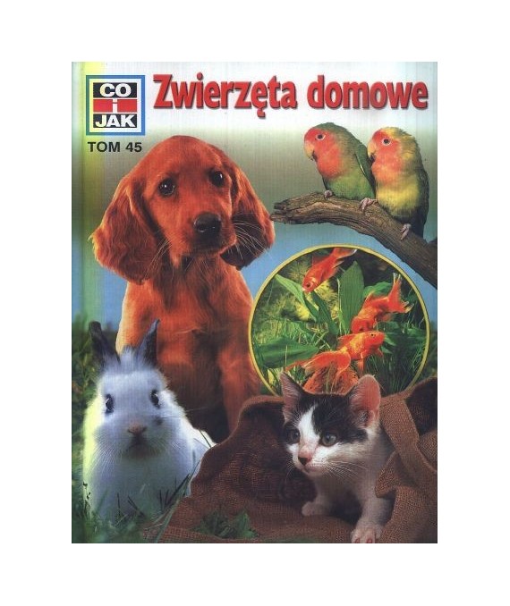 Zwierzęta domowe