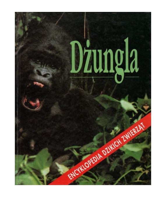 Dżungla