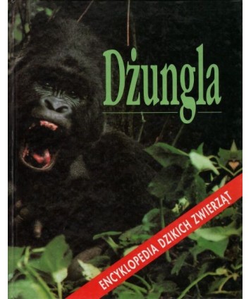 Dżungla