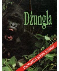 Dżungla