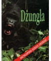 Dżungla