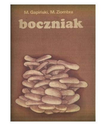 Boczniak