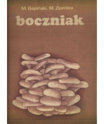 Boczniak