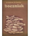Boczniak