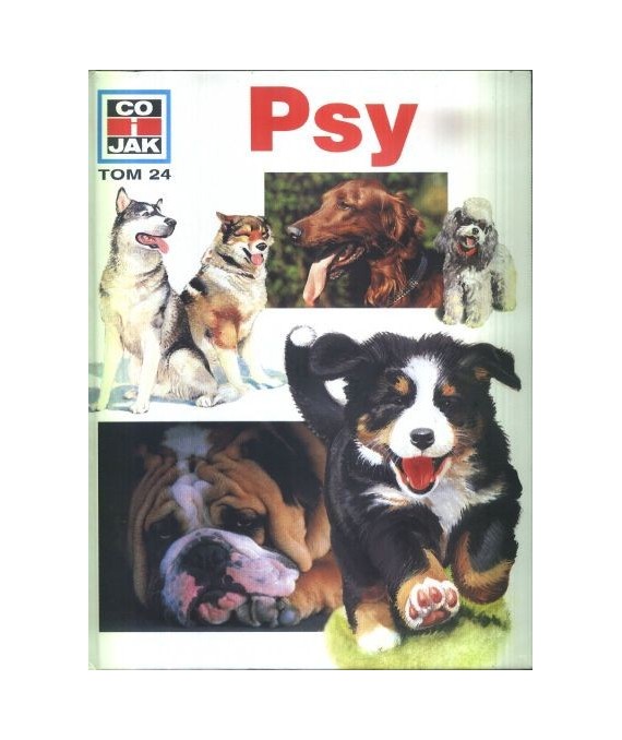 Psy