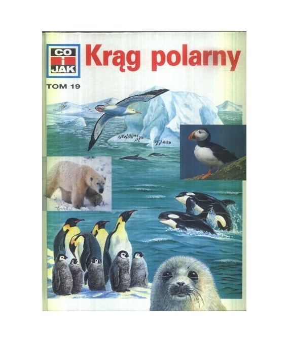 Krąg polarny